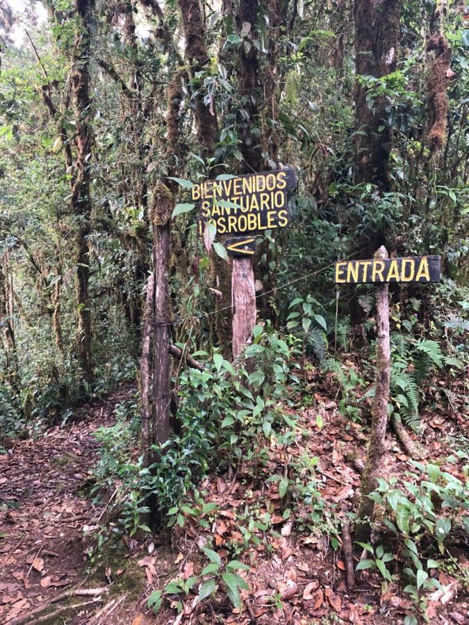 Cabana De Montana La Magnolia, Cerro De La Muerte De La Canuela Cloud Forest Tres de Junio Bagian luar foto